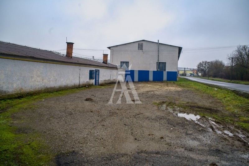 vybudovanie haly podľa požiadaviek klienta na dlhodobý prenájom